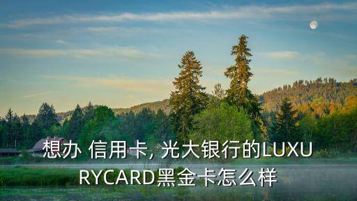 想辦 信用卡, 光大銀行的LUXURYCARD黑金卡怎么樣