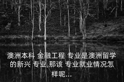 澳洲本科 金融工程 專業(yè)是澳洲留學(xué)的新興 專業(yè),那該 專業(yè)就業(yè)情況怎樣呢...