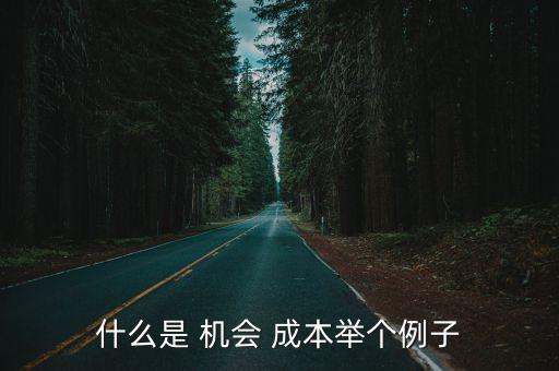 什么是 機(jī)會 成本舉個例子