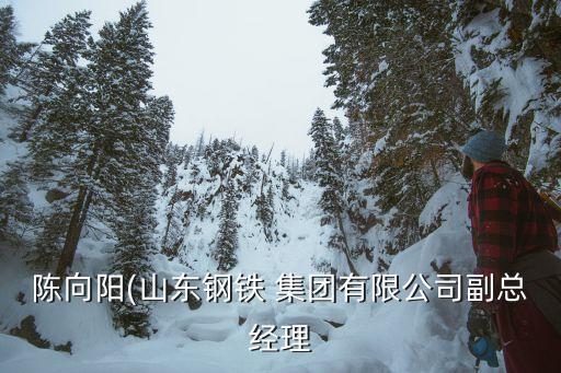 陳向陽(yáng)(山東鋼鐵 集團(tuán)有限公司副總經(jīng)理