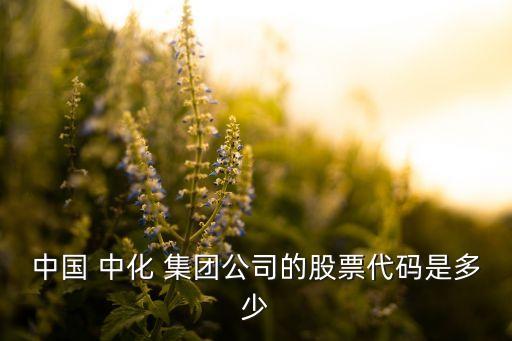 中國 中化 集團公司的股票代碼是多少