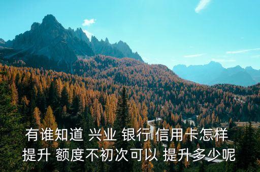 有誰知道 興業(yè) 銀行 信用卡怎樣 提升 額度不初次可以 提升多少呢