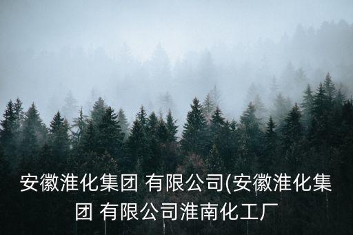 安徽淮化集團(tuán) 有限公司(安徽淮化集團(tuán) 有限公司淮南化工廠