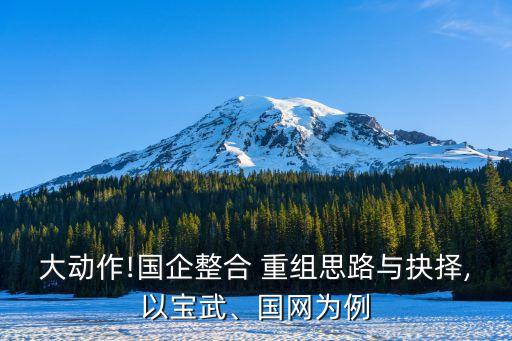 大動作!國企整合 重組思路與抉擇,以寶武、國網(wǎng)為例