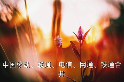 中國(guó)移動(dòng)、聯(lián)通、電信、網(wǎng)通、鐵通合并