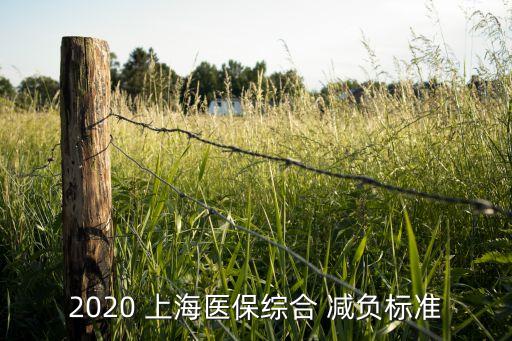 2020 上海醫(yī)保綜合 減負標準