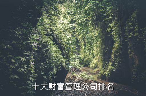 十大財富管理公司排名