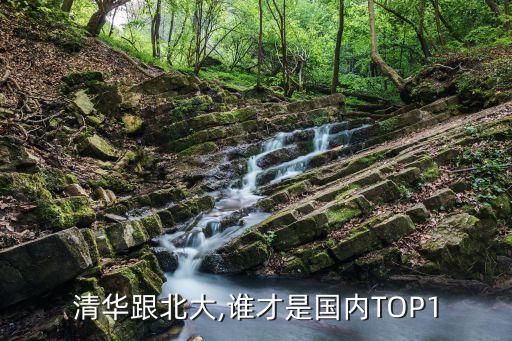 清華跟北大,誰才是國內(nèi)TOP1