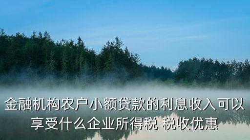 金融機(jī)構(gòu)農(nóng)戶小額貸款的利息收入可以享受什么企業(yè)所得稅 稅收優(yōu)惠