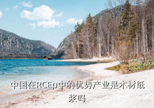 中國在RCEp中的優(yōu)勢產(chǎn)業(yè)是木材紙漿嗎