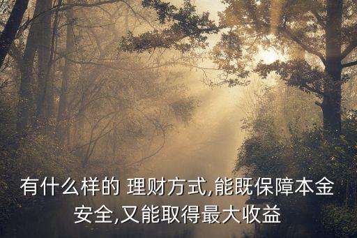 有什么樣的 理財(cái)方式,能既保障本金安全,又能取得最大收益