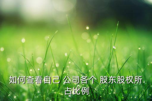 一般小公司怎么查詢股東,怎么查詢名下有沒有公司