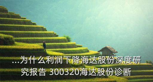 ...為什么利潤下降海達(dá)股份深度研究報(bào)告 300320海達(dá)股份診斷