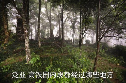 泛亞 高鐵國內(nèi)段都經(jīng)過哪些地方