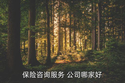 保險咨詢服務 公司哪家好