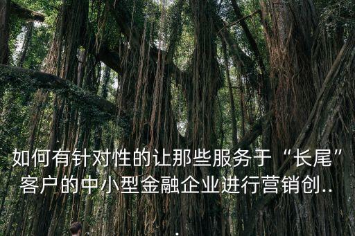 如何有針對性的讓那些服務(wù)于“長尾”客戶的中小型金融企業(yè)進行營銷創(chuàng)...