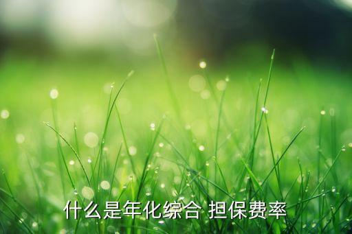 什么是年化綜合 擔保費率