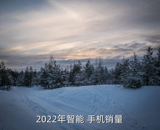 2022年智能 手機銷量