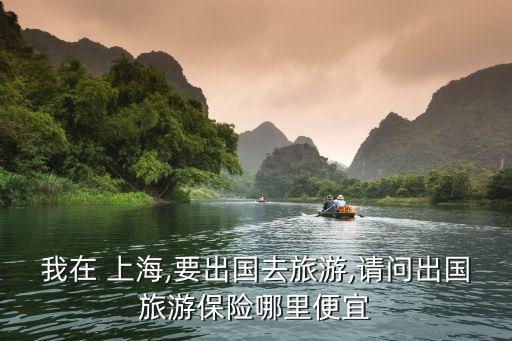 上海保險金融旅行,劉旺青 上海 金融 保險 投資