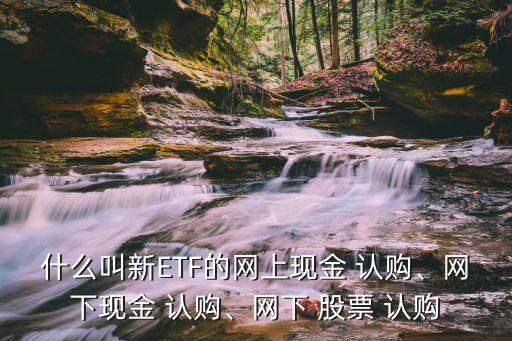 什么叫新ETF的網(wǎng)上現(xiàn)金 認(rèn)購(gòu)、網(wǎng)下現(xiàn)金 認(rèn)購(gòu)、網(wǎng)下 股票 認(rèn)購(gòu)