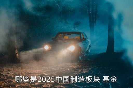 哪些是2025中國(guó)制造板塊 基金