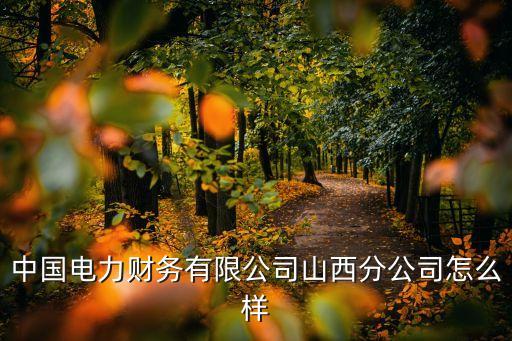 中國電力財務有限公司山西分公司怎么樣