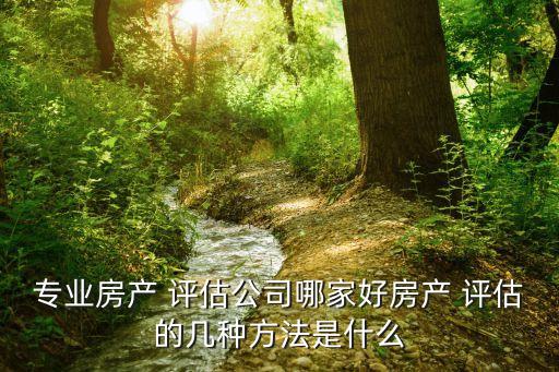 上海富申評(píng)估咨詢集團(tuán)有限公司怎么樣