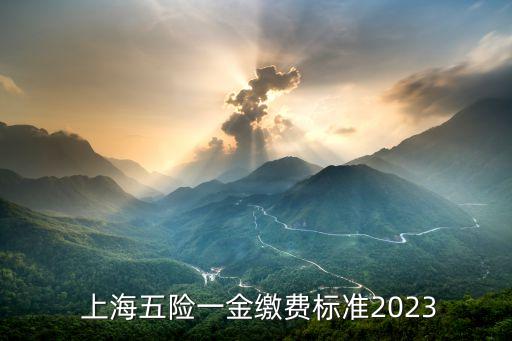  上海五險(xiǎn)一金繳費(fèi)標(biāo)準(zhǔn)2023