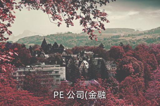 PE 公司(金融