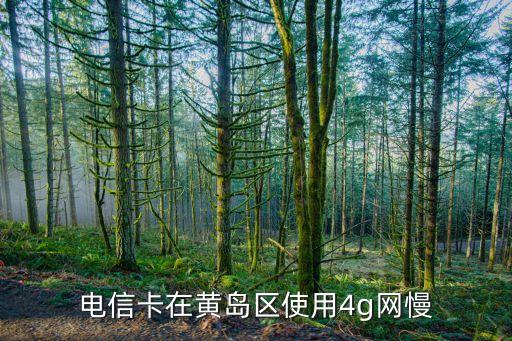 電信卡在黃島區(qū)使用4g網(wǎng)慢