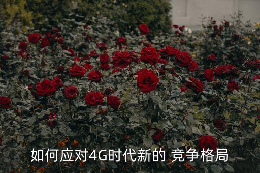 如何應(yīng)對(duì)4G時(shí)代新的 競爭格局