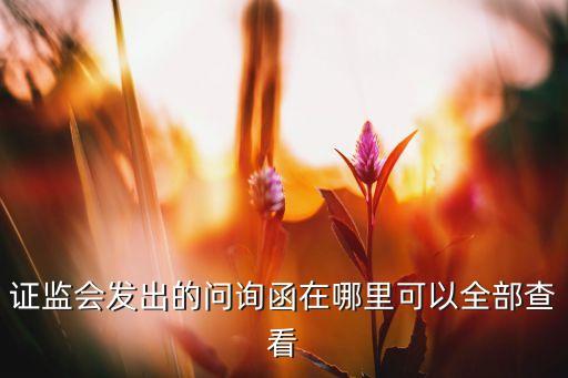 證監(jiān)會(huì)發(fā)出的問詢函在哪里可以全部查看