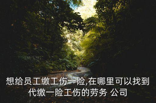 想給員工繳工傷一險,在哪里可以找到代繳一險工傷的勞務 公司