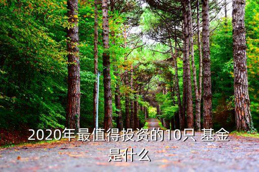 2020年最值得投資的10只 基金是什么