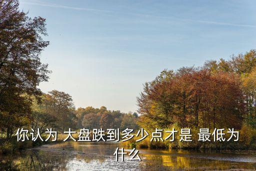 你認(rèn)為 大盤跌到多少點(diǎn)才是 最低為什么