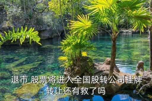  退市 股票將進(jìn)入全國股轉(zhuǎn)公司掛牌轉(zhuǎn)讓還有救了嗎