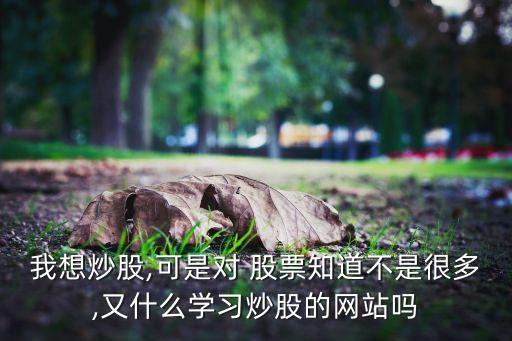 我想炒股,可是對 股票知道不是很多,又什么學習炒股的網(wǎng)站嗎