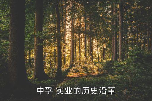 中孚 實(shí)業(yè)的歷史沿革