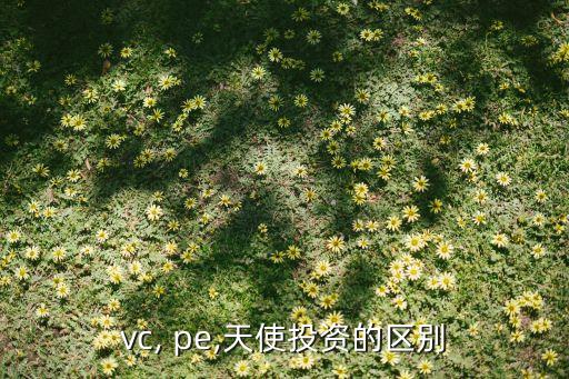 vc, pe,天使投資的區(qū)別