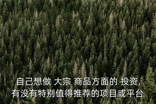 自己想做 大宗 商品方面的 投資,有沒有特別值得推薦的項目或平臺