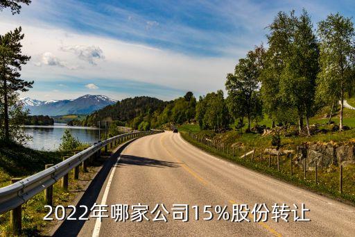 2022年哪家公司15%股份轉(zhuǎn)讓