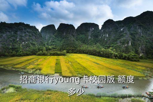  招商銀行young卡校園版 額度多少