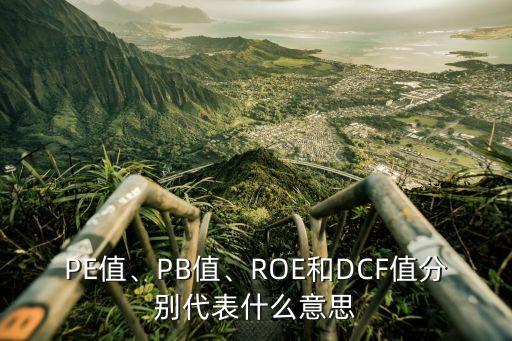 PE值、PB值、ROE和DCF值分別代表什么意思