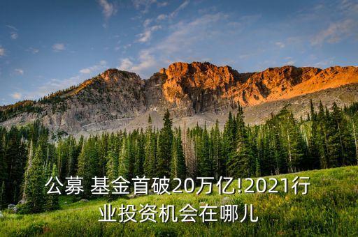 公募 基金首破20萬(wàn)億!2021行業(yè)投資機(jī)會(huì)在哪兒