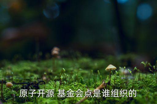 原子開源 基金會點(diǎn)是誰組織的