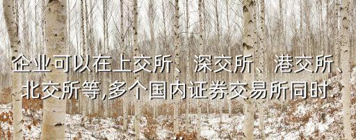 企業(yè)可以在上交所、深交所、港交所、北交所等,多個國內(nèi)證券交易所同時...