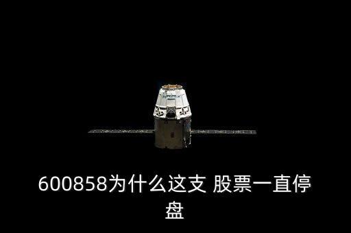 600858為什么這支 股票一直停盤