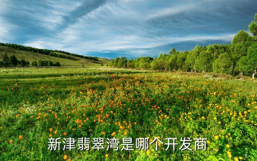 成都成商地產有限公司,成都上程數(shù)據有限公司