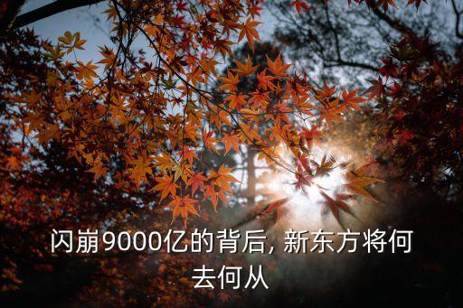 閃崩9000億的背后, 新東方將何去何從