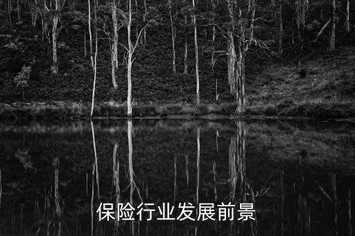 保險(xiǎn)行業(yè)發(fā)展前景